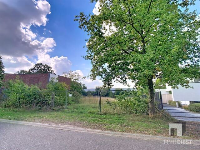 8020 afbeelding 5