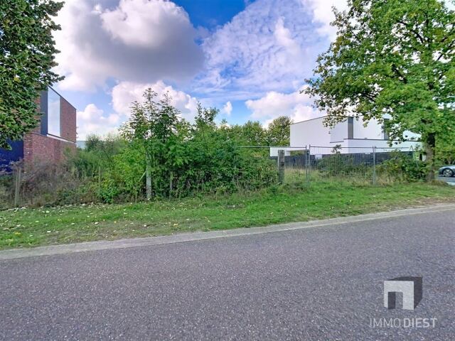 8020 afbeelding 9