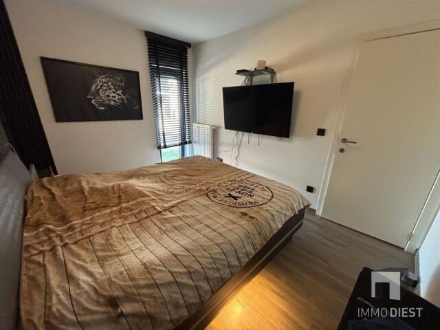 9238 afbeelding 21
